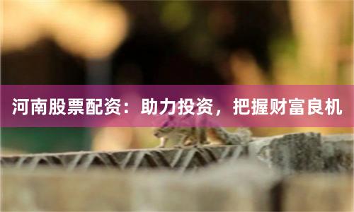河南股票配资：助力投资，把握财富良机