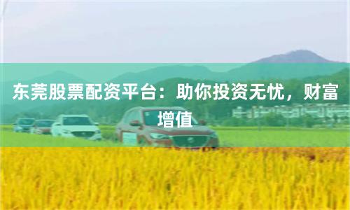 东莞股票配资平台：助你投资无忧，财富增值