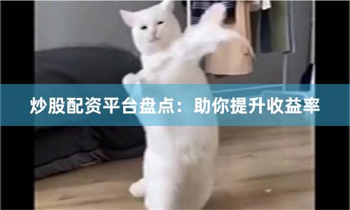 炒股配资平台盘点：助你提升收益率
