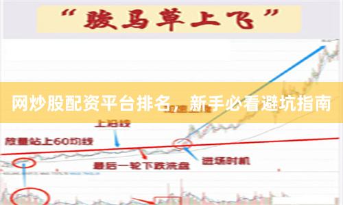 网炒股配资平台排名，新手必看避坑指南